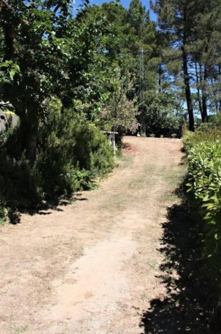 Appartement Tout Equipe En Rez-De-Jardin Entre Gard Et Ardeche Saint-Julien-de-Peyrolas Dış mekan fotoğraf